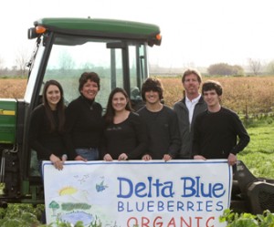 Delta Blue Blueberries Organic in Stockton, CA 