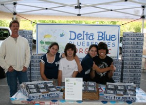 Delta Blue Blueberries in Stockton, CA 