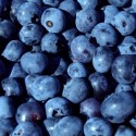 Blueberries and Post Traumatic Stress Disorder