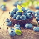 Free Radicals, Antioxidants and Blueberries